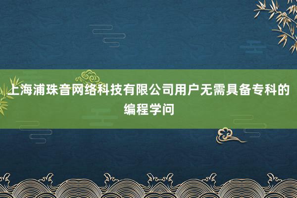 上海浦珠音网络科技有限公司用户无需具备专科的编程学问